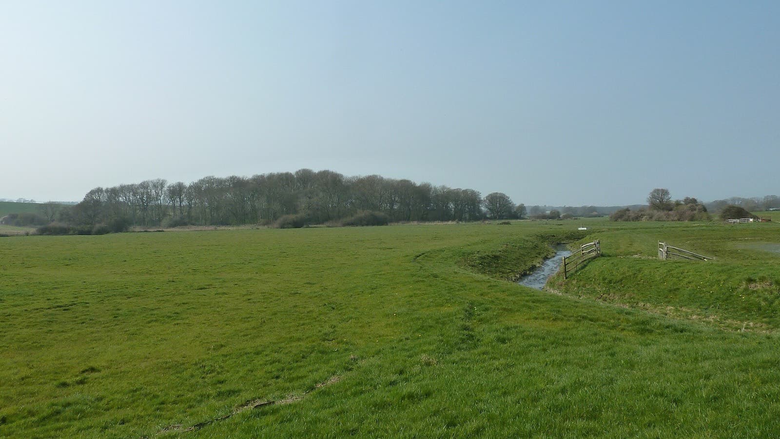 Flea Treatments, Rivers And Sustainability In Veterinary Practice