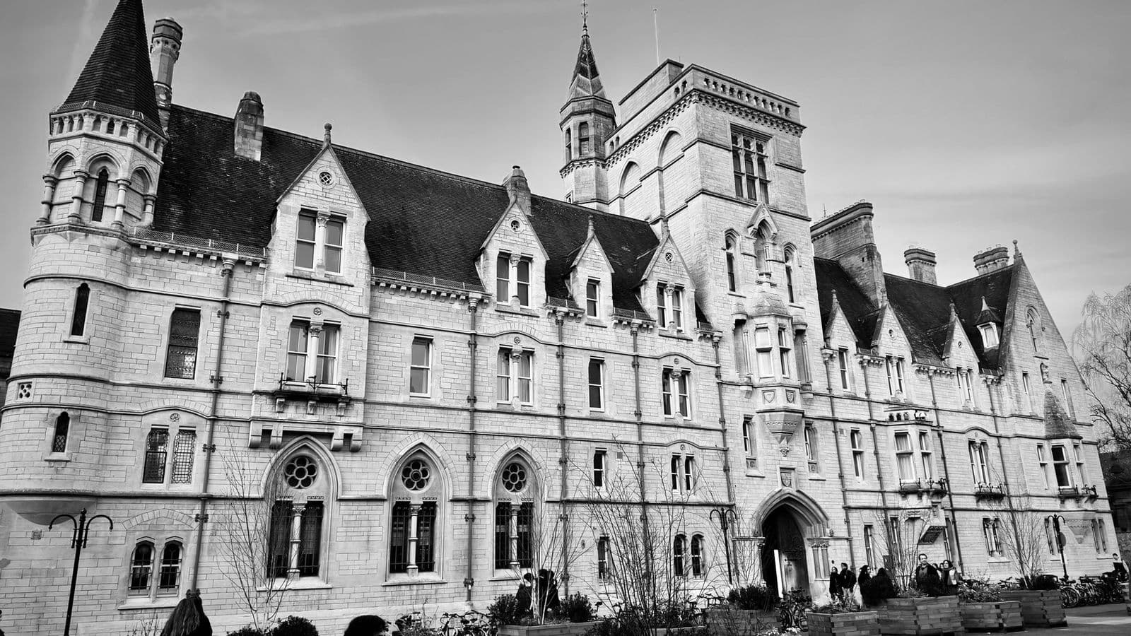 International student applying to UK vet school