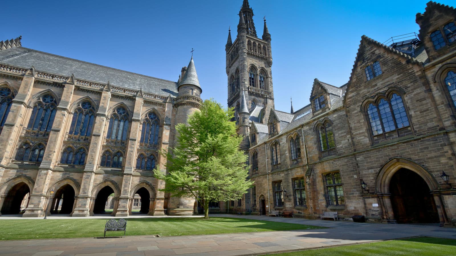 The Best UK Vet Schools for International Students