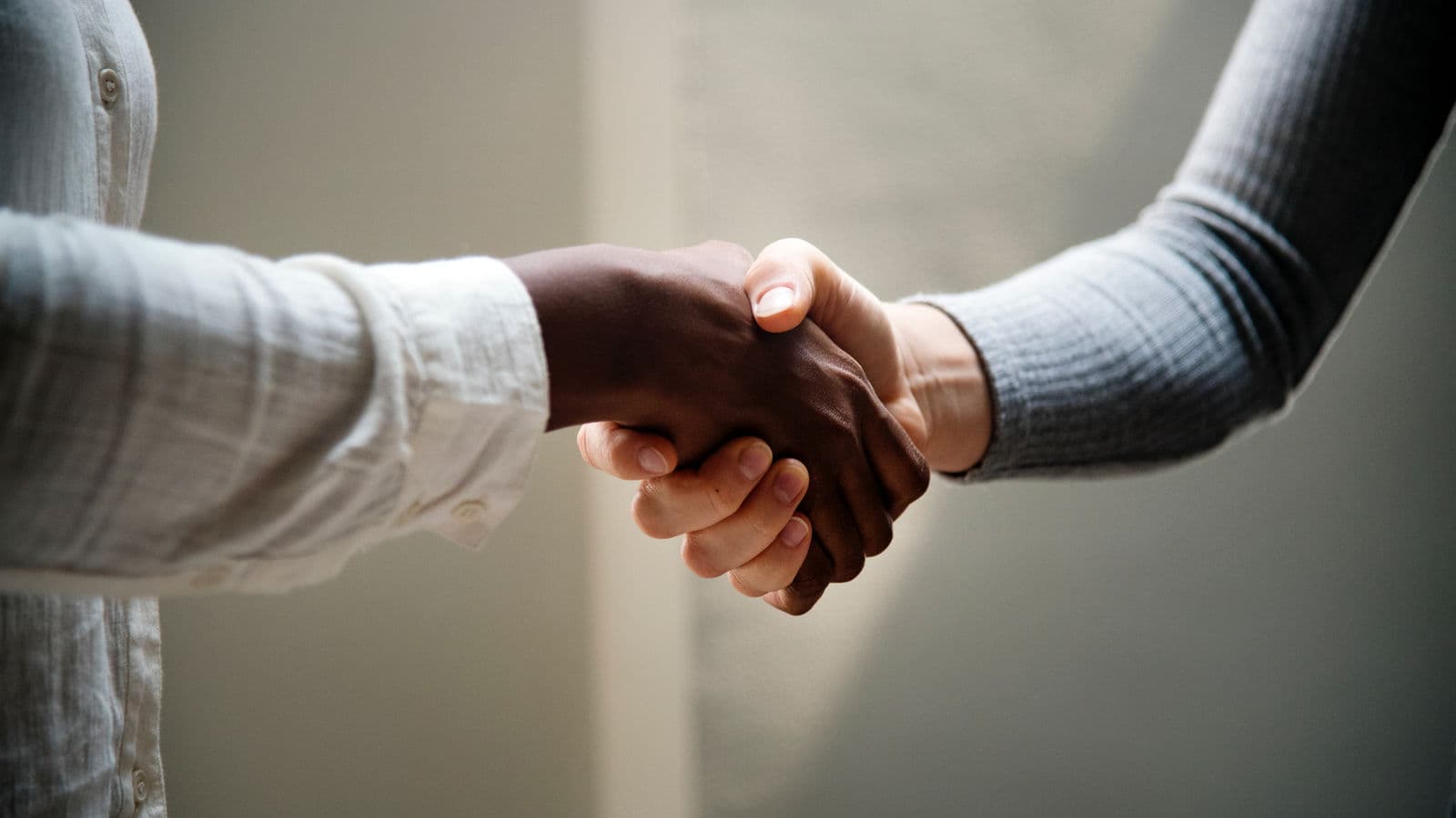 The Veterinary Interview Handshake