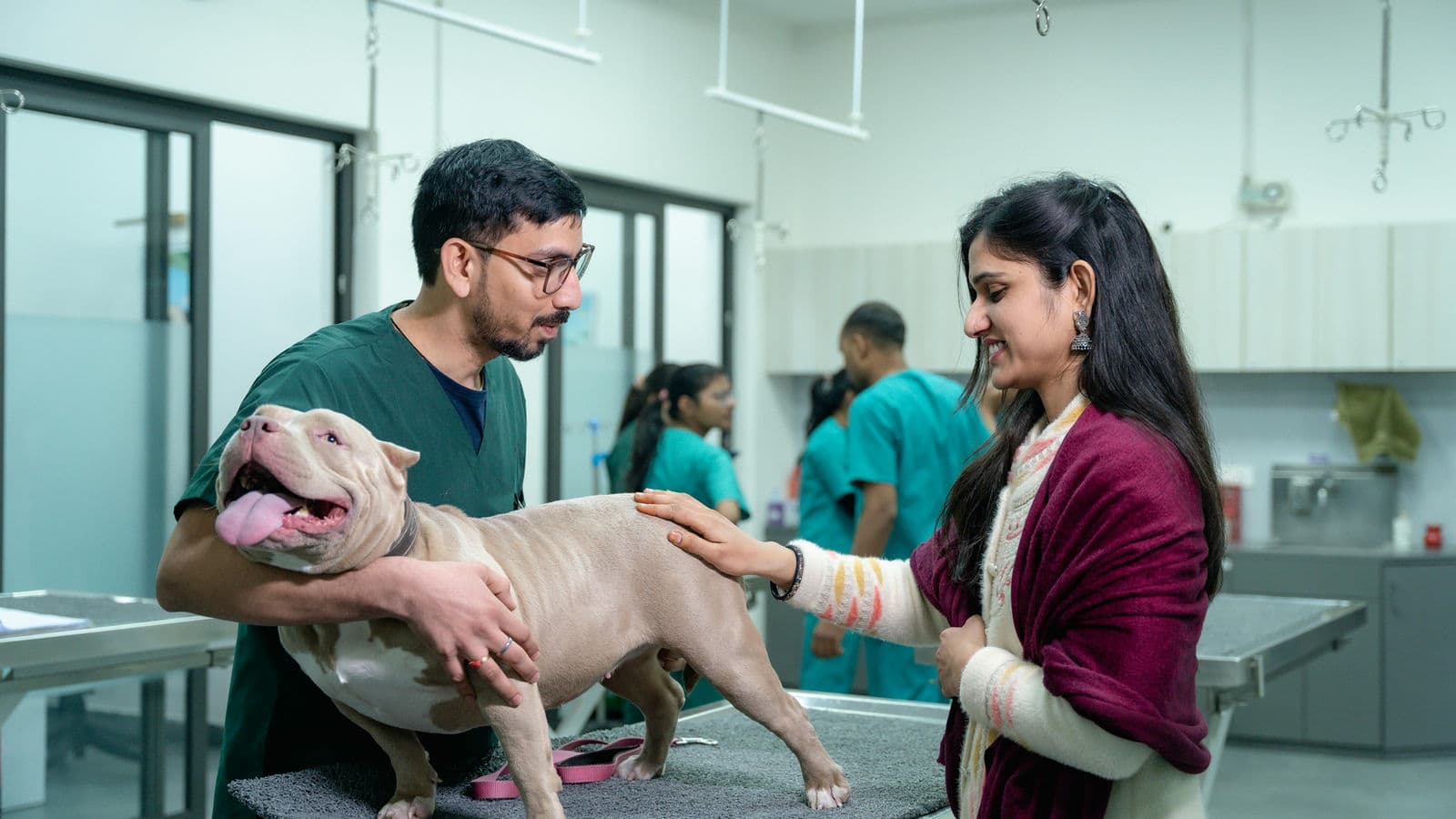 Is a UK Vet Degree Worth It for International Students: Expert Guide 2026