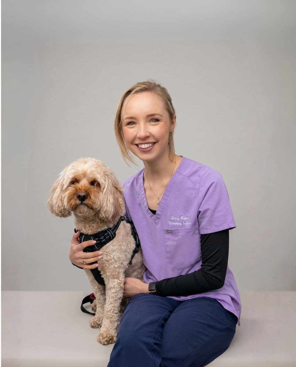 Dr Rebecca Massie, veterinary surgeon